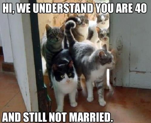 Hi We Understand You Are Not Married