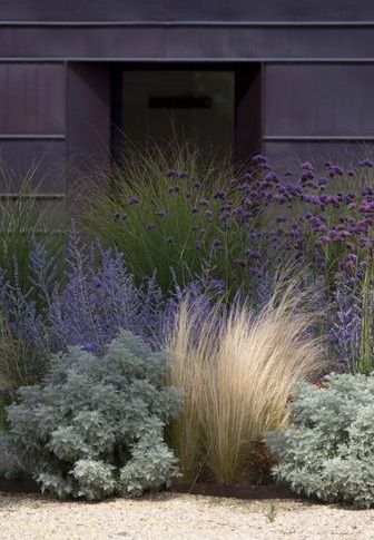 Soft and beautiful grasses and perennials
