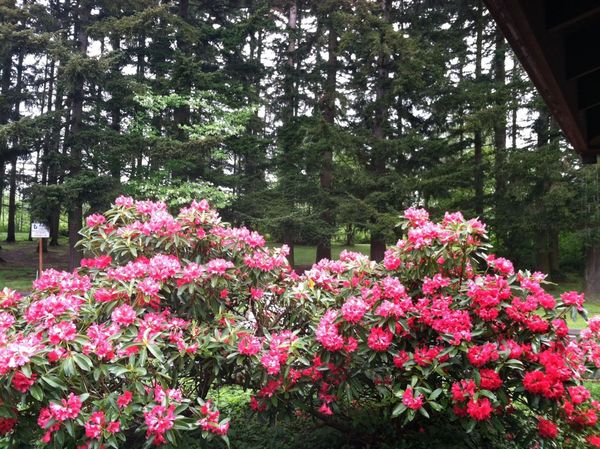 Ferndale, WA in Washington