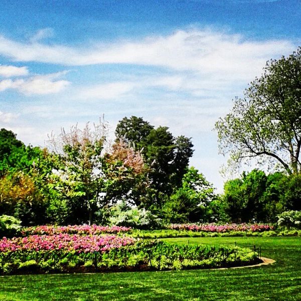 Dallas Arboretum and Botanical Garden in Dallas, TX