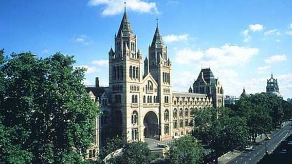 Natural History Museum - visitlondon.com