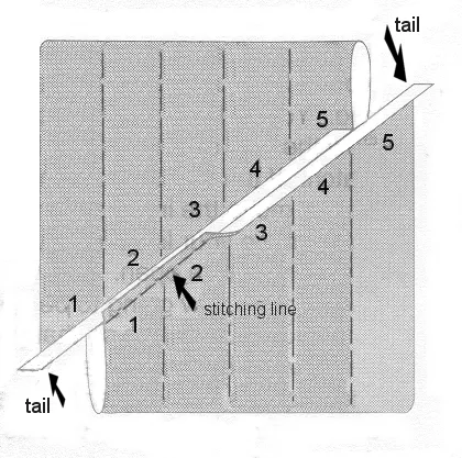 The Dread Pirate Rodgers Continous Bias Page