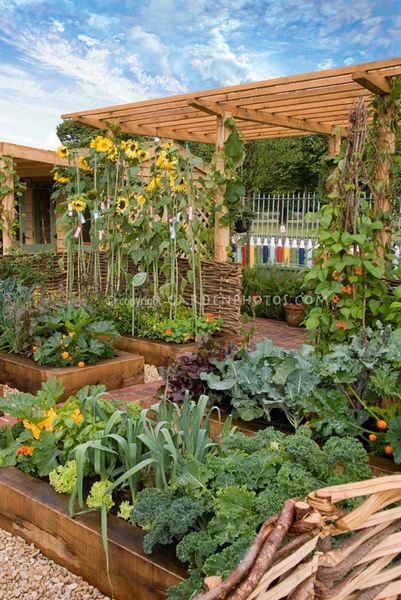 Urban Vegetable Garden