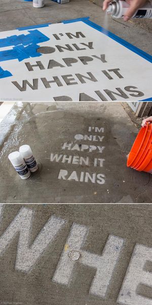 Use Rustoleum's NeverWet | Invisible until it rains!