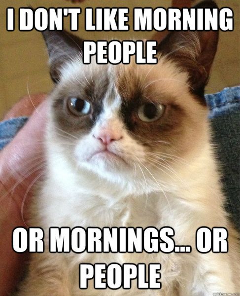 Grumpy cat...