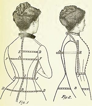 The Length Measurements - Back and Side Lengths