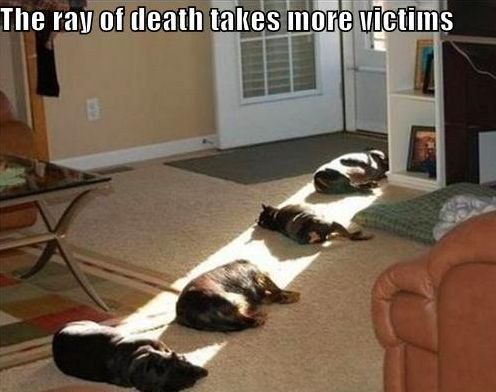 Ray of Death. . .