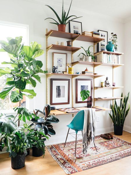 Overgrown office.