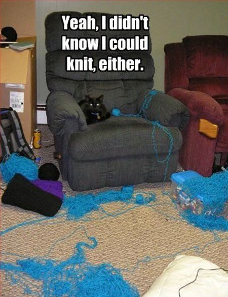 Yeah, I didn't know I could knit either