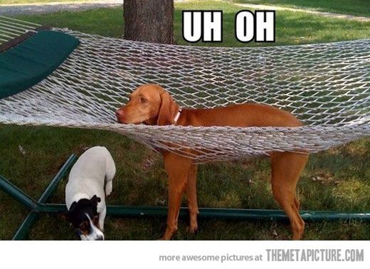 Well, that didn’t go as planned…