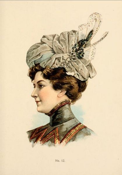 Hats by H O'Neill of New York 1899-1900 Catalogue - Hat No12 | Flickr - Photo Sharing!