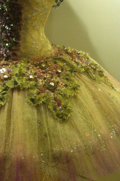 The Summer Fairy, Cinderella