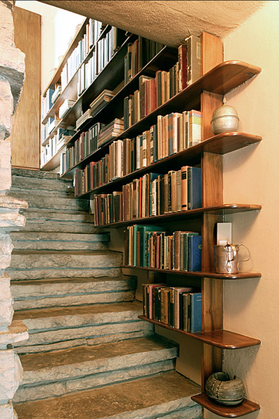 bookshelf staircase...love this!