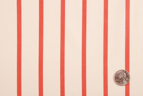 Cream/Red Stripes Shirting