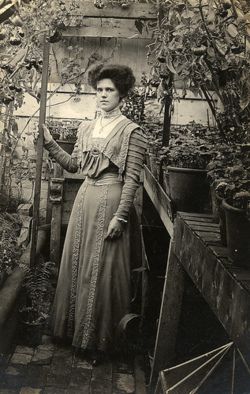 glasshouse, 1909