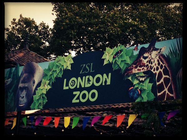 ZSL London Zoo in London, Greater London