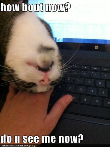 d1301ebc3d0dbfa0f67d029ba15f4cf8