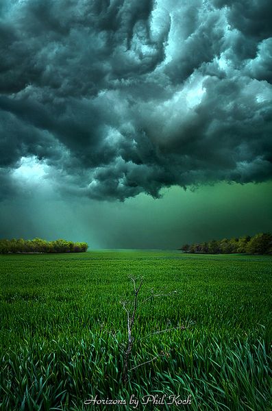 There Came a Wind by Phil Koch