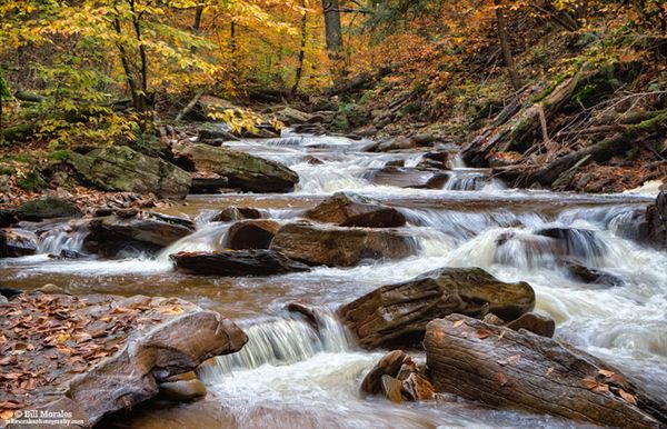 Ricketts Glen, Pennsylvania. Bill Morales - Nature Photography