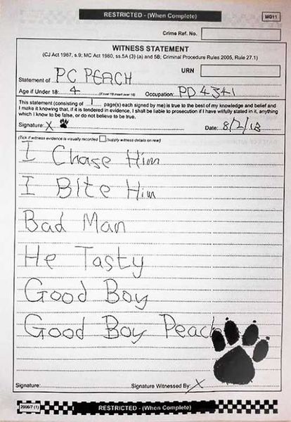 Police dog's witness statement