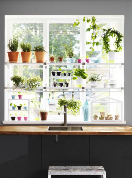 Where there’s a window, there’s a way to garden. Work with window shelves, plants, pots and han…