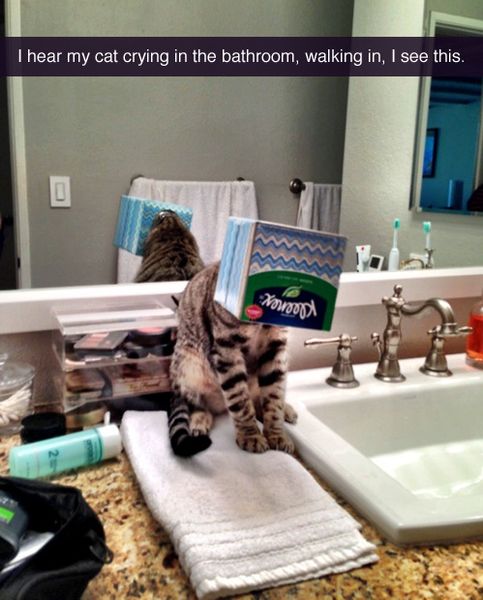 241d0a5ac4b91ff09a8a474c9310302d