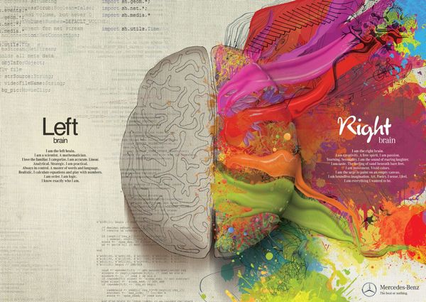 Left vs Right Brain