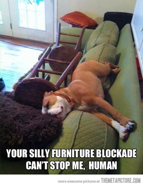 You can't stop me, human