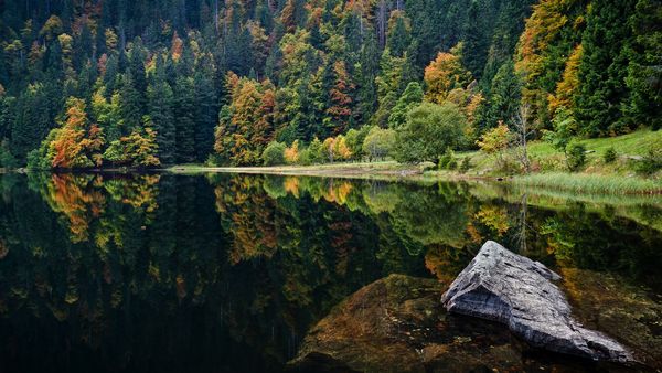 7 Magical Photos That Will Make You Want To Visit The Black Forest In Germany (1)