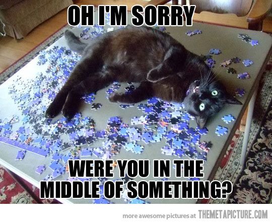 Aaarggh, kitteh!. Get off!