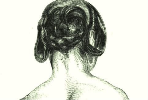 1850s hairstyle