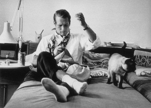 Irrefutable proof that Paul Newman was the ultimate man. Here he is, sewing, with a cat