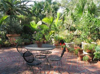 Patio Garden