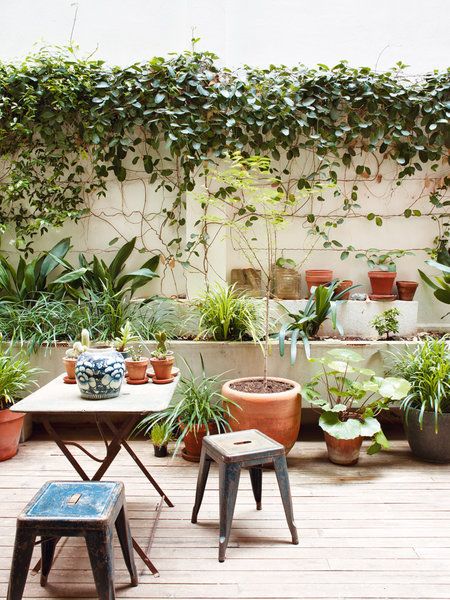 Barcelona apartment - patio