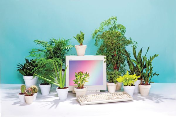 tumblr_nt5dt39yU71te37wjo1_1280