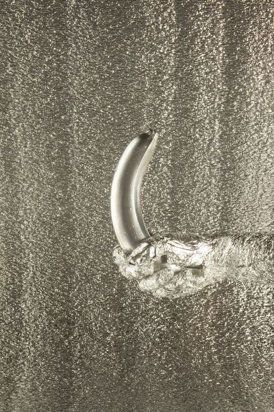 7b9a7c35320607.56f233c038feb