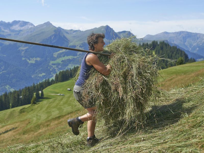 Les paysans de montagne suisses en détresse ont besoin de 800 bénévoles | Caritas Suisse
