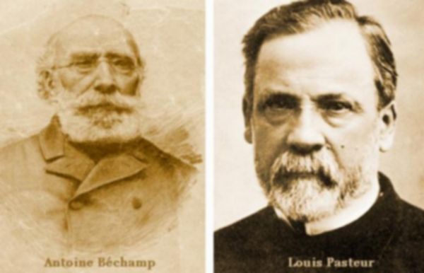 Pasteur vs Béchamp | Pearltrees