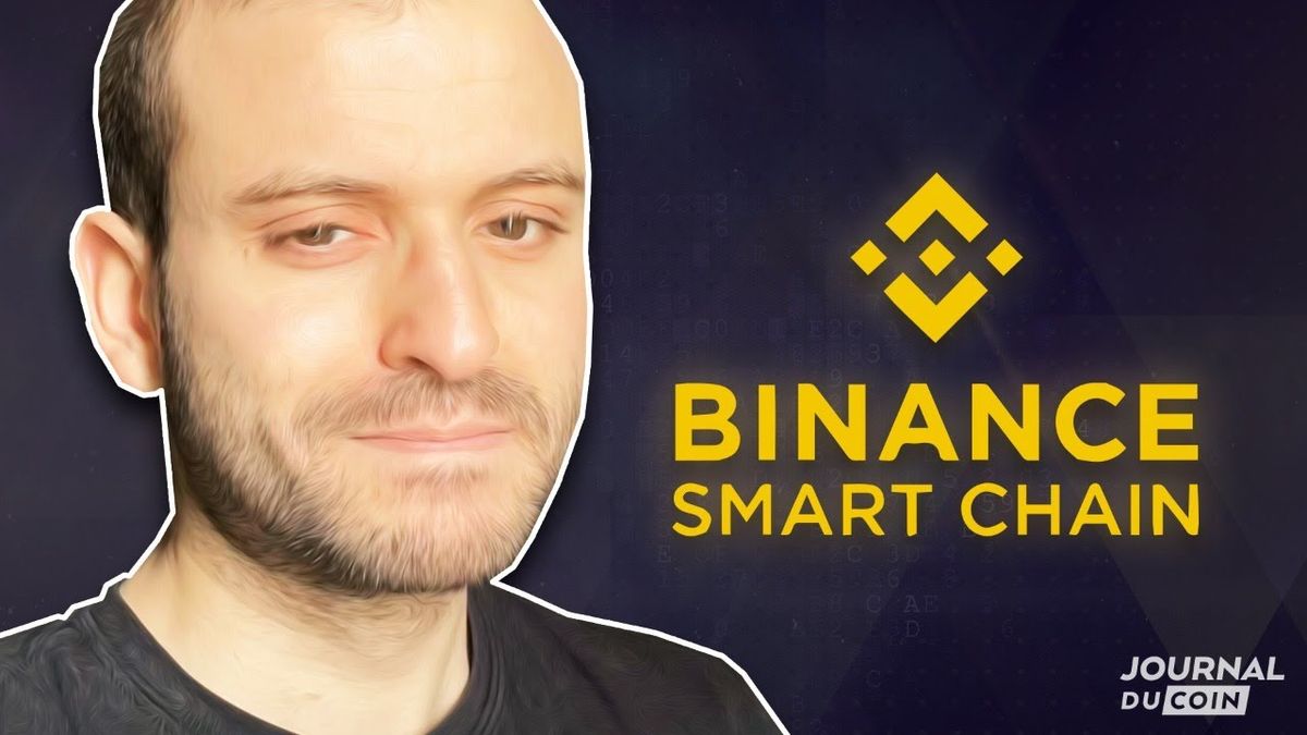 (30) LES RENDEMENTS DINGUES DE LA BINANCE SMART CHAIN - TUTO COMPLET $BSC $BNB #DEFI - YouTube