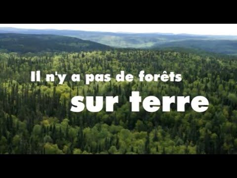 IL N'Y A PAS DE FORÊTS SUR TERRE - Intégrale