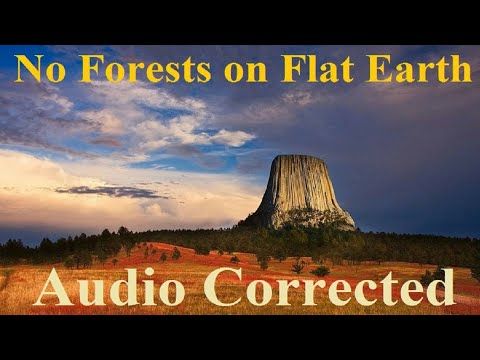 (73) Les arbres géants, il n'y a pas de forêts sur Terre - YouTube