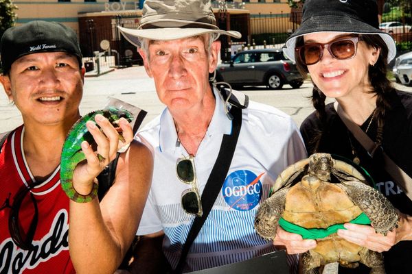 Why is SAG-AFRTRA On Stike? Actors Explain at Picket Lines