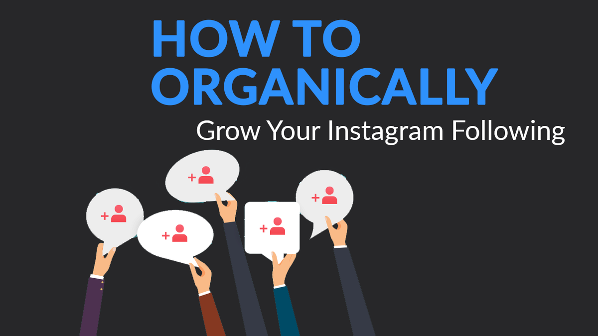 Insider Secrets: How To Organically Grow Your Instagram | SkillsLab