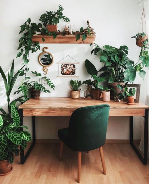 The Potted Jungle on Instagram: “Who else is trying to turn their #wfh desk into something like t…