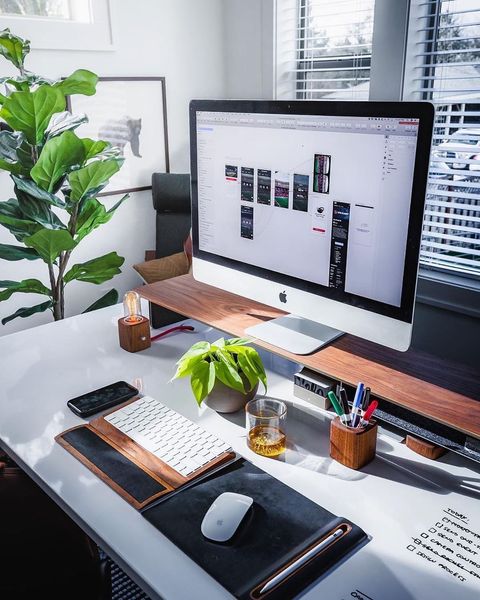 Desk Advisor on Instagram: “Having plants near you while working is beneficial to your health! 