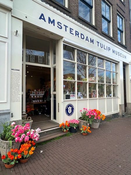 ℒ on X: "amsterdam https://t.co/PDuUMU0Go6" / X
