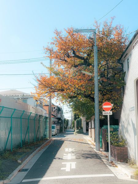 instagram.com/p/DS4xIkyEoRo