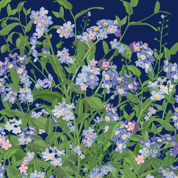 Marysia on X: "Mig Wyeth, Forget-me-nots https://t.co/nm1EDLts6Y" / X