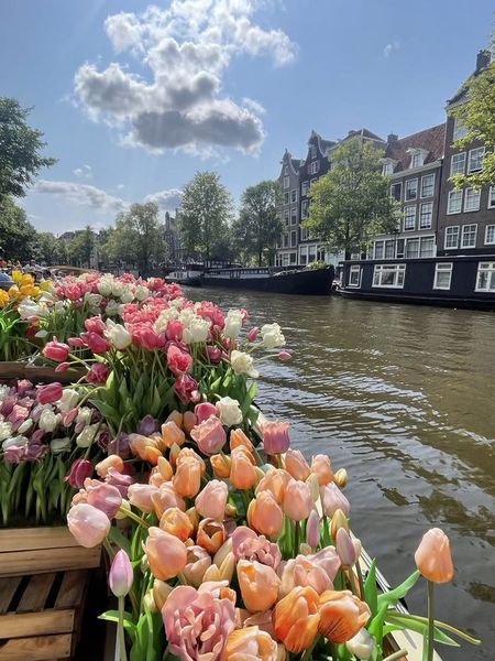 ℒ on X: "amsterdam https://t.co/PDuUMU0Go6" / X