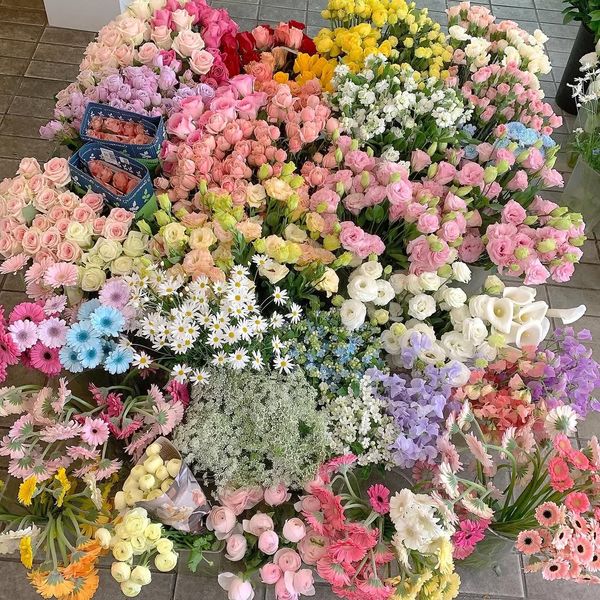 instagram.com/p/DTAQUJbEUh0